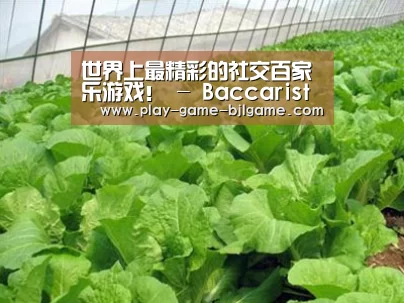 种植基地一