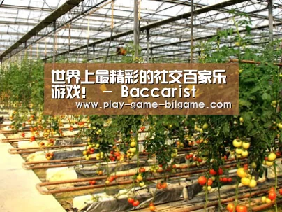 种植基地二